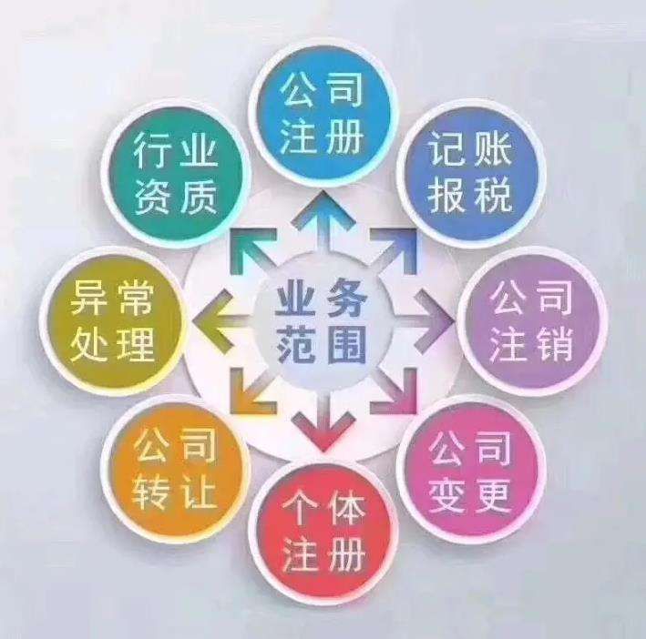 麻栗坡专业财务代理服务流程的简单介绍