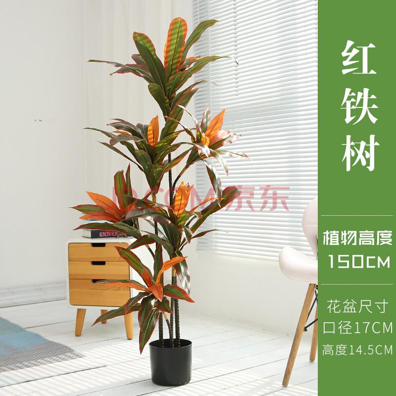 特色花卉绿植价格走势的简单介绍