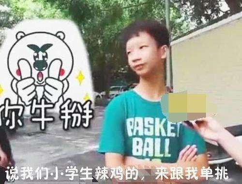 王者荣耀小学生图片-王者荣耀小学生的照片