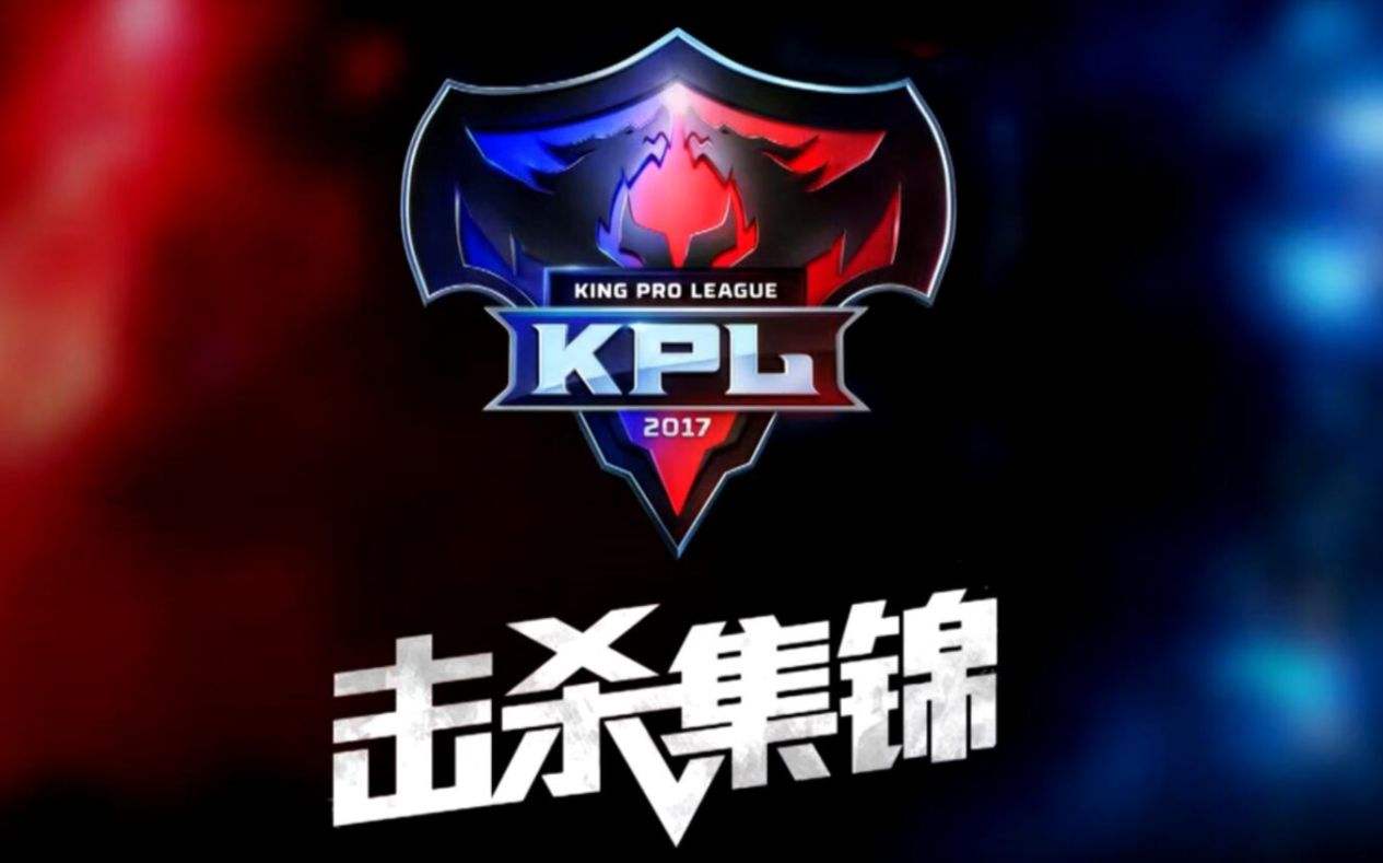 2017kpl王者荣耀-2017年王者荣耀kpl