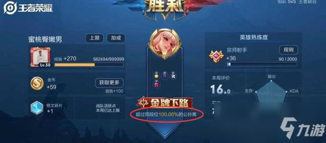 王者荣耀最高巅峰怎么查-王者荣耀怎么看最高巅峰分