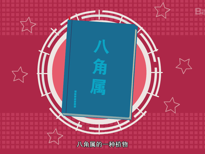 包含八角有没有美容效果图的词条