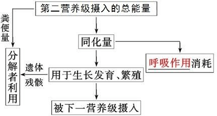 生态系统输出的能量-生态系统输出的能量形式