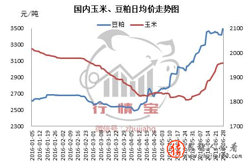 玉米价格行情走势分析-今年玉米价格行情走势分析