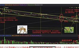 300039未来走势-预测300079明天走势