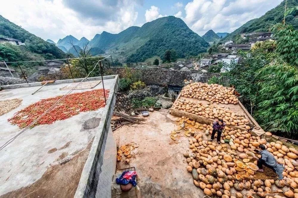 文山丘北葡萄纸箱-文山丘北葡萄纸箱厂电话