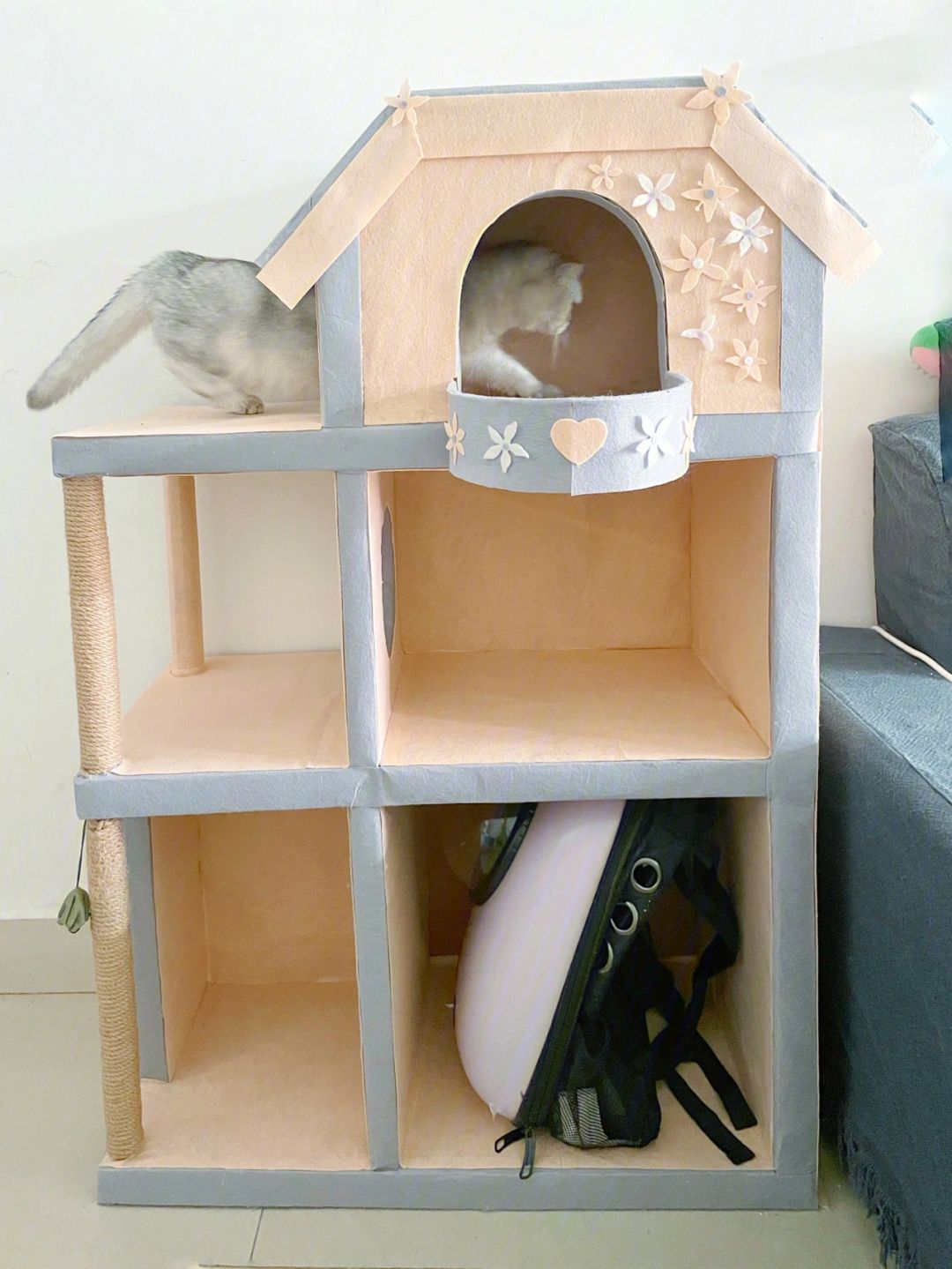 两个纸箱做猫爬架-如何用纸箱子做猫爬架
