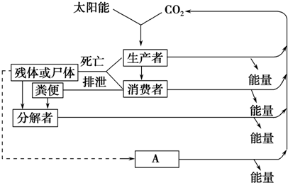 图1是某生态系统碳-生态系统分析图