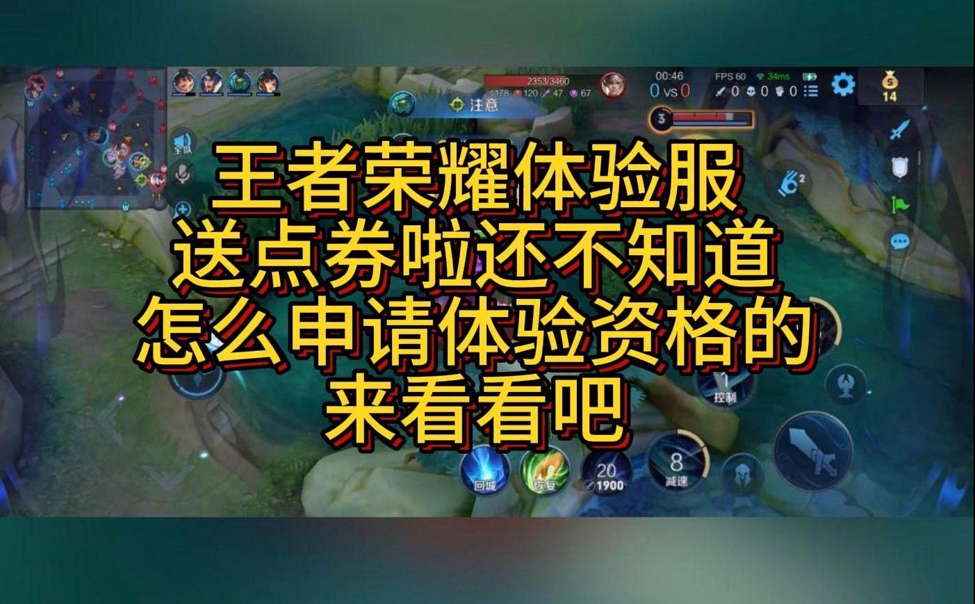 怎么知道自己适合王者荣耀-王者荣耀新手需要知道的