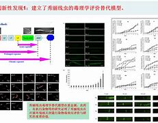 三七蜂蜜秀丽线虫抗衰老实验-三七蜂蜜功效和作用及食用方法