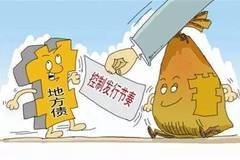 融资平台违规举债案例-融资平台违约需要报案吗?