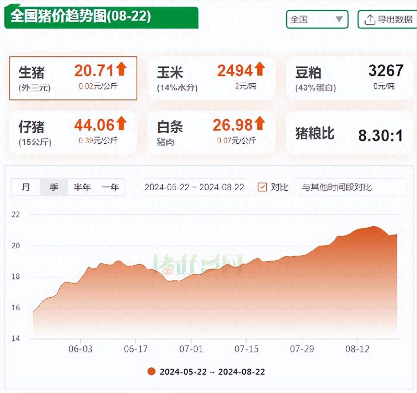 2019年毛猪11月行情走势-2020年11月19号毛猪价格