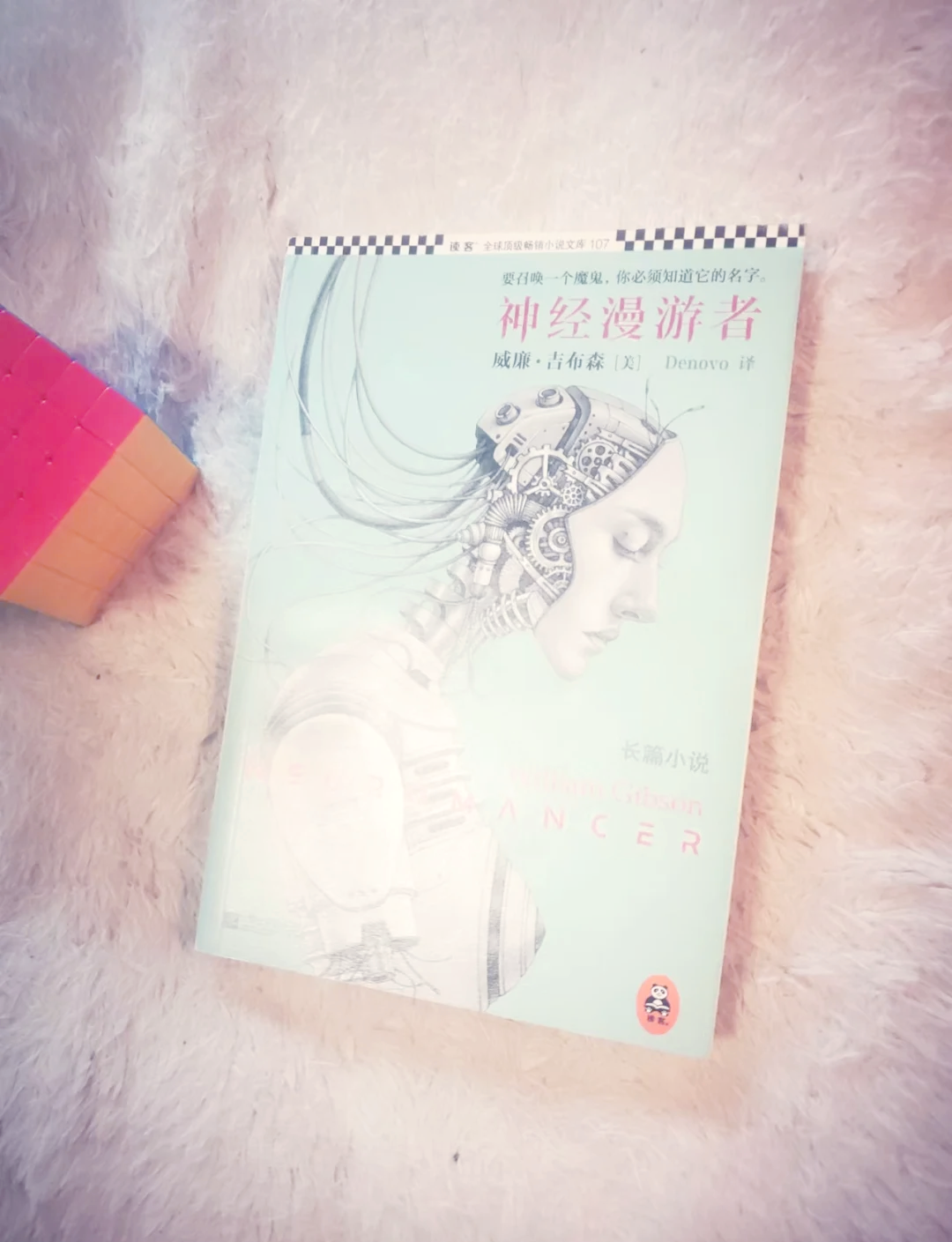 是个黑客高手的小说-主角是黑客高手的小说