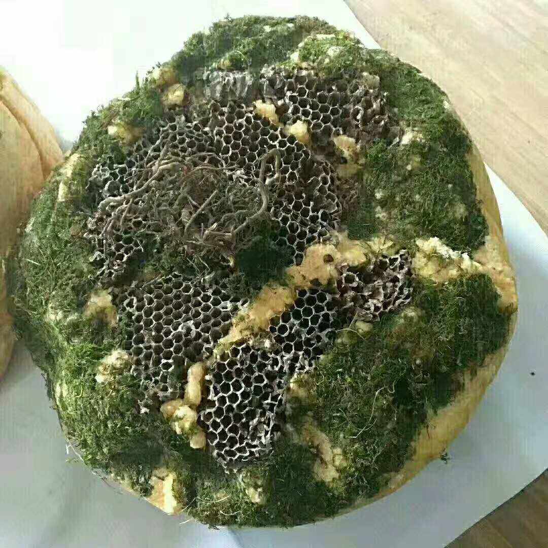 石头下的蜂蜜视频-石头缝里的蜂蜜叫什么蜜