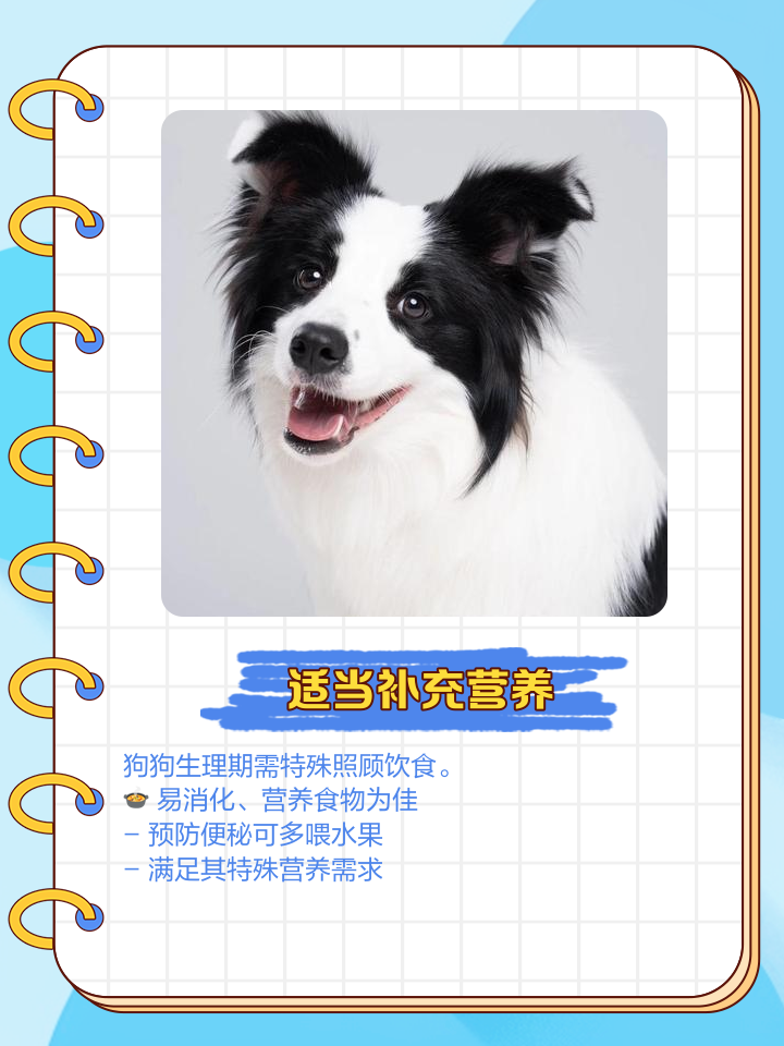 狗狗生理期后几天能做美容-狗狗生理期后多久可以打预防针
